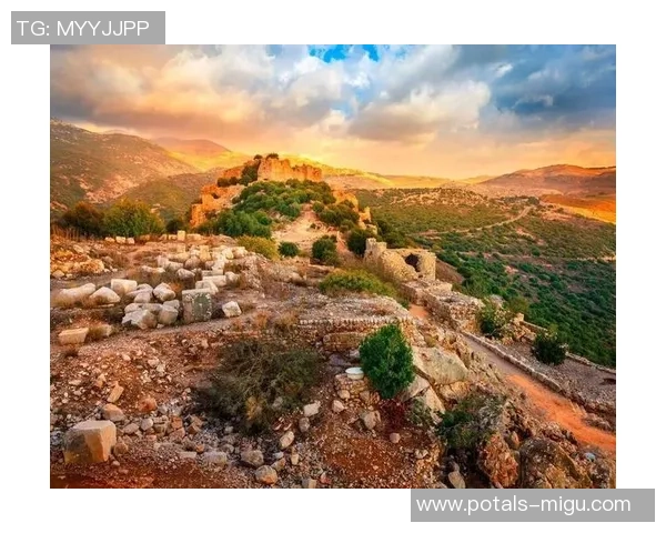 奥地利与芬兰激战正酣比分揭晓引发热议