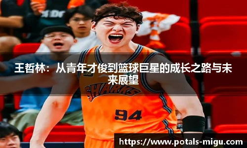 王哲林：从青年才俊到篮球巨星的成长之路与未来展望